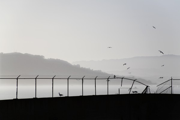 Escape From Alcatraz