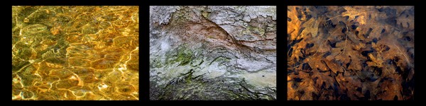 Natures Textures II