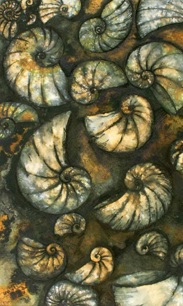 Ammonites