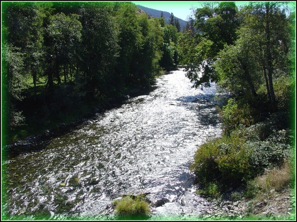 Oregon Mountain Stream