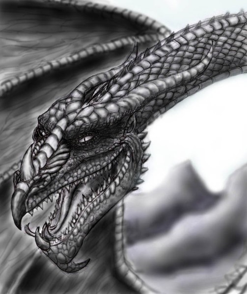 Very cool photoshopped dragon 