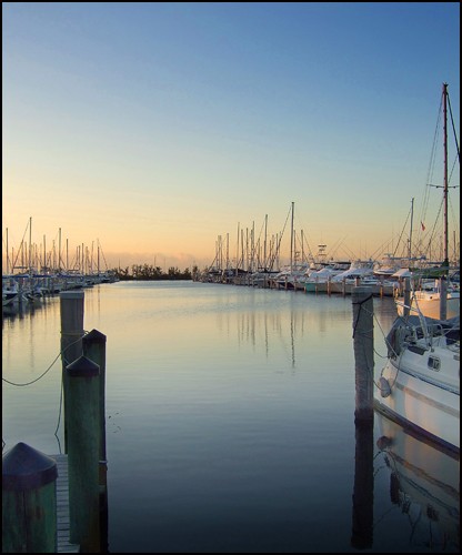 Harbor of Boats