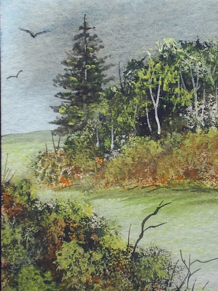 country walk