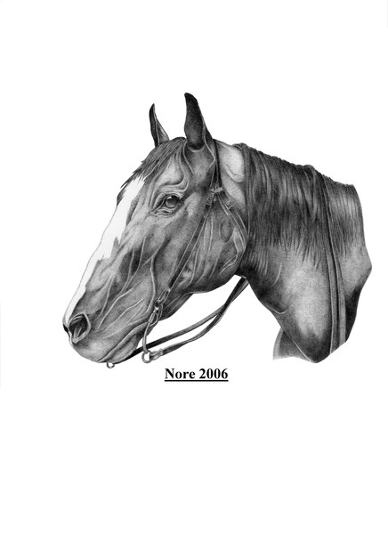 Horse Profile