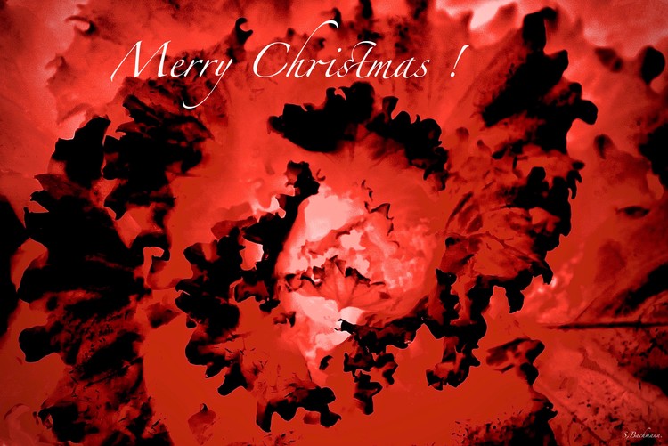 Merry Christmas 2018