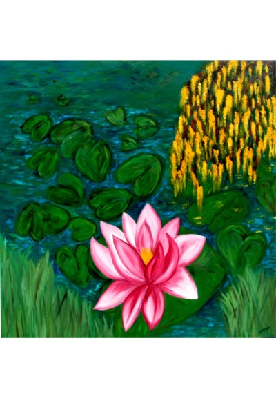 waterlelie  waterlily
