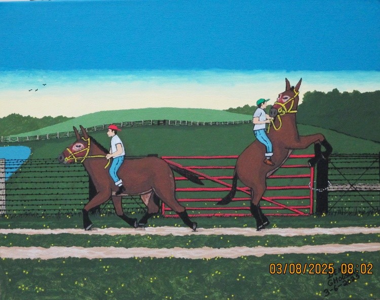 Mules Bareback