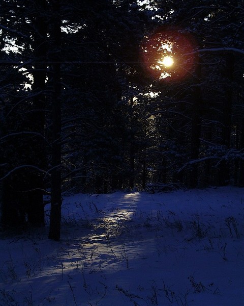 Snow Sunrise