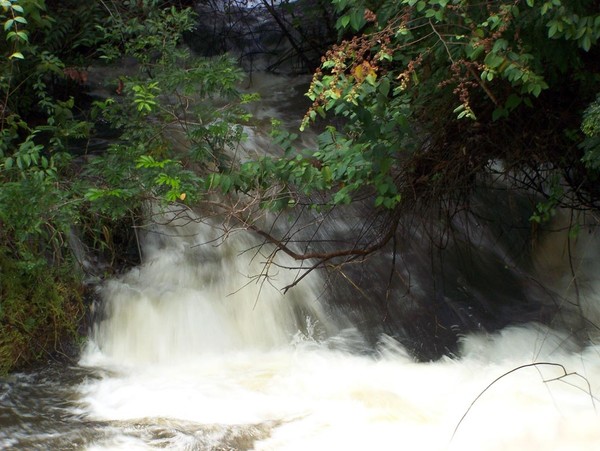 Salto
