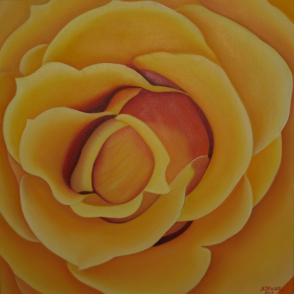 Cheryls Rose