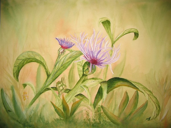 Missing Thistle