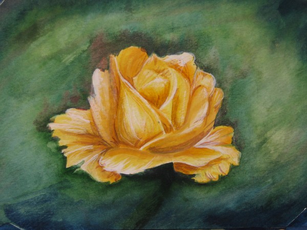 Another Rose for You
