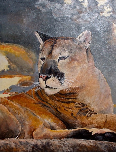 Sleepy Lion