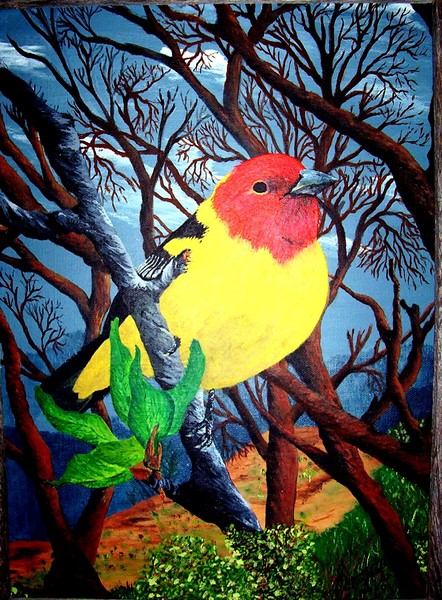 Western Tanager