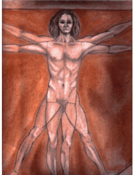 the vitruvian man complete