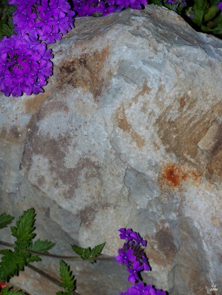Angel in the rock