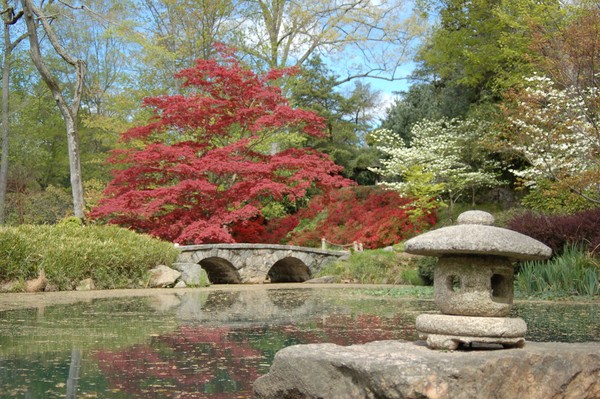 Japanese Garden