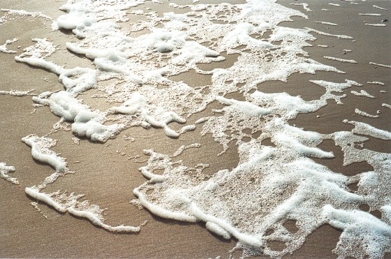A touch from the sea to sand and land
