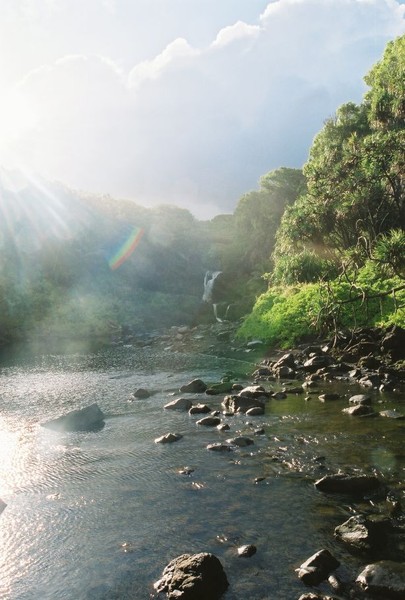 Rays of Beauty