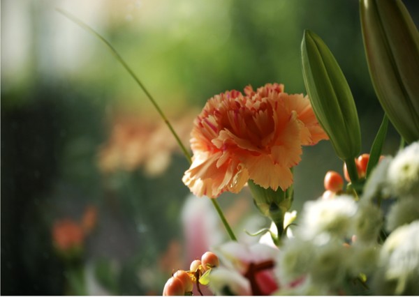 Flower No.004