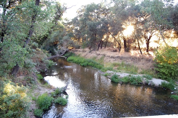 Roseville Creek