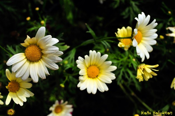 Imperfect but still beautiful