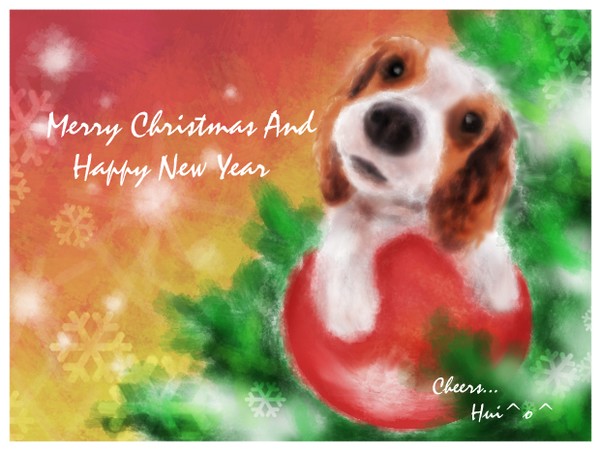 Merry X'M^.^S !!!