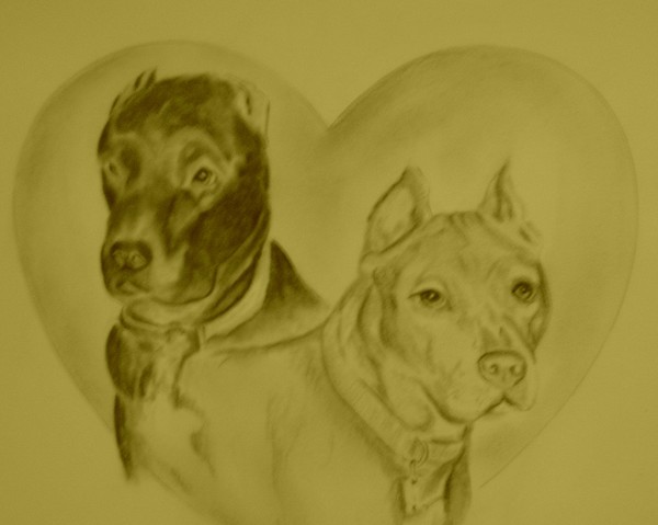 Leslie's dogs