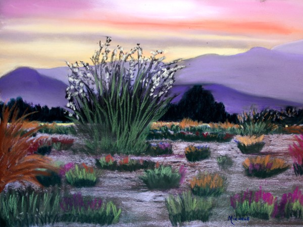Colors of the Desert