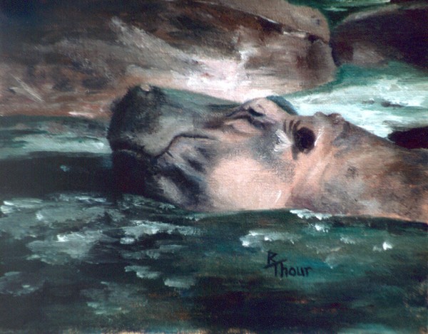 Hippo