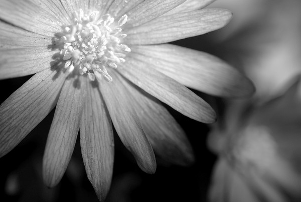 Light