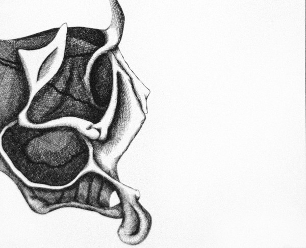 Bones 6