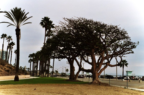 Overcast
