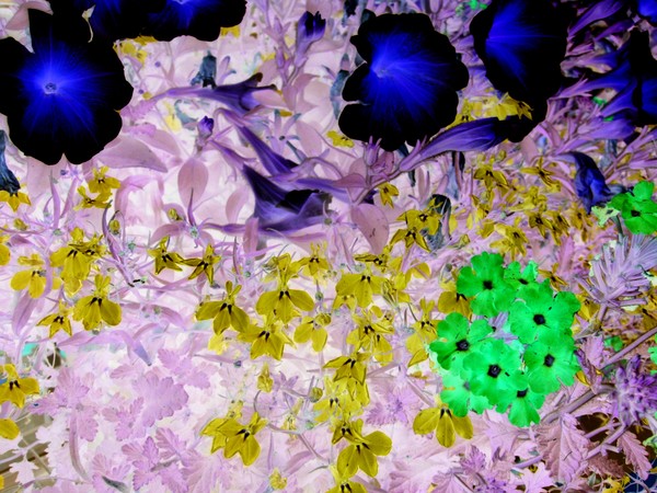 Very colorful