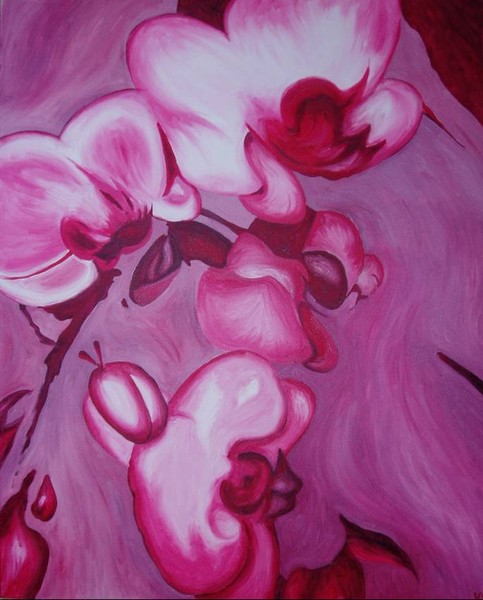 Pink Orchids