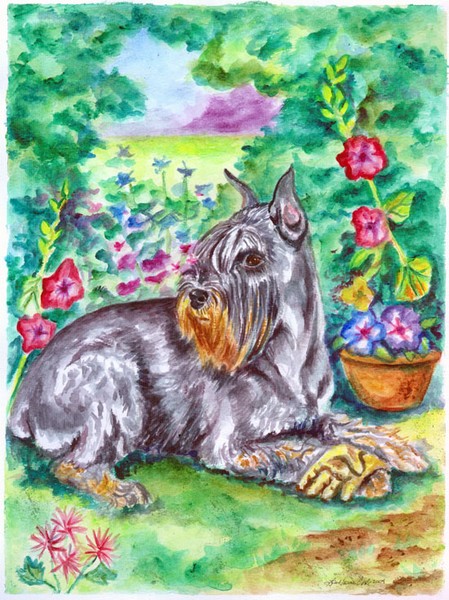 In the Garden, Schnauzer