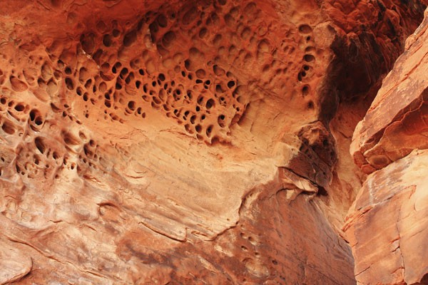 Desert Landscape