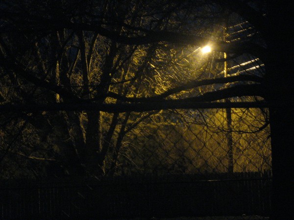 dark yard