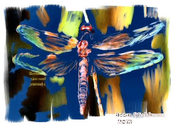 Dragonfly
