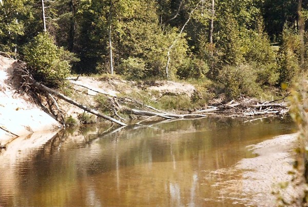 Van Etton Creek 7