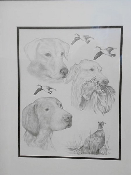 Gun Dogs