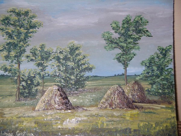 Landscape in omne village