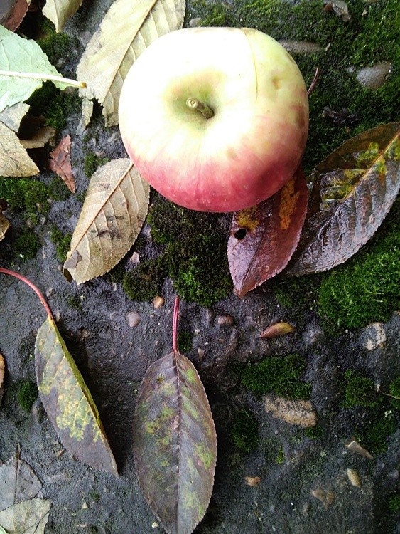 IMG 20211012 160230