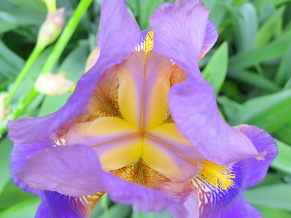 Beauty in symmetry