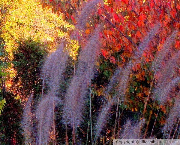 Autumn 2013