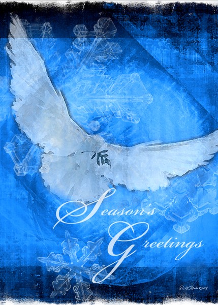 Snowflakes and Doves-Christmas Card