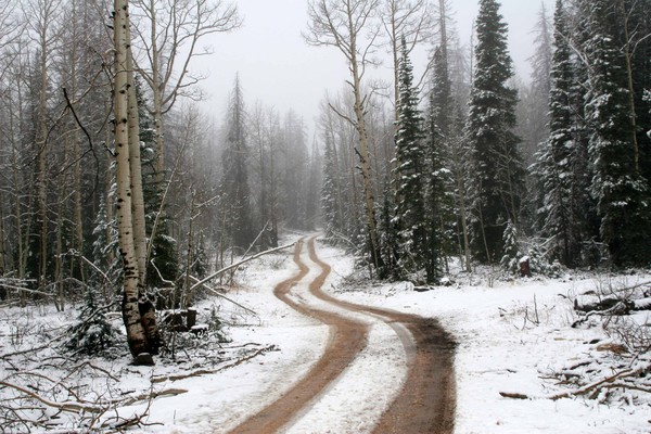 FIRST SNOW
