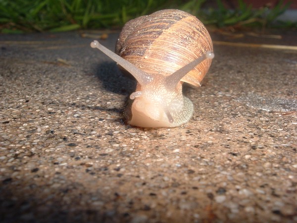 ON YOUR MARK, GET SET, GO...........