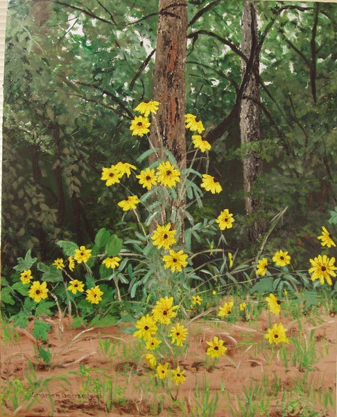Brown Eyed Susans #2