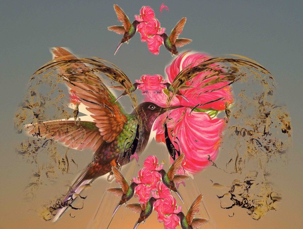 Hibiscus Hummingbird